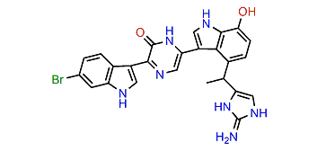 Dragmacidin D